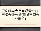 重庆邮电大学有哪些专业，王牌专业分析(重邮王牌专业解析)