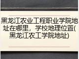 黑龙江农业工程职业学院地址在哪里，学校地理位置(黑龙江农工学院地址)