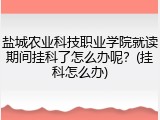 盐城农业科技职业学院就读期间挂科了怎么办呢？(挂科怎么办)