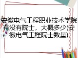 安徽电气工程职业技术学院有没有院士，大概多少(安徽电气工程院士数量)