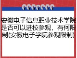 安徽电子信息职业技术学院是否可以进校参观，有何限制(安徽电子学院参观限制)