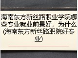 海南东方新丝路职业学院哪些专业就业前景好，为什么(海南东方新丝路职院好专业)