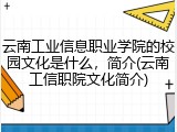 云南工业信息职业学院的校园文化是什么，简介(云南工信职院文化简介)