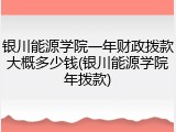 银川能源学院一年财政拨款大概多少钱(银川能源学院年拨款)