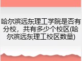 哈尔滨远东理工学院是否有分校，共有多少个校区(哈尔滨远东理工校区数量)
