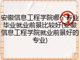 安徽信息工程学院哪个专业毕业就业前景比较好(安徽信息工程学院就业前景好的专业)