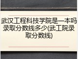 武汉工程科技学院是一本吗录取分数线多少(武工院录取分数线)