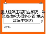 重庆建筑工程职业学院一年财政拨款大概多少钱(重庆建院年拨款)