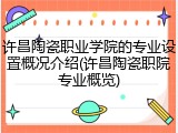 许昌陶瓷职业学院的专业设置概况介绍(许昌陶瓷职院专业概览)