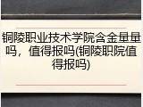 铜陵职业技术学院含金量量吗，值得报吗(铜陵职院值得报吗)