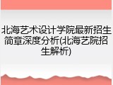 北海艺术设计学院最新招生简章深度分析(北海艺院招生解析)