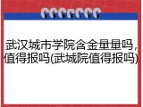 武汉城市学院含金量量吗，值得报吗(武城院值得报吗)