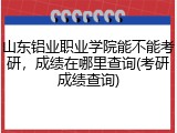 山东铝业职业学院能不能考研，成绩在哪里查询(考研成绩查询)