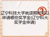 辽宁科技大学就读期间可以申请哪些奖学金(辽宁科大奖学金申请)