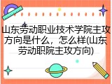 山东劳动职业技术学院主攻方向是什么，怎么样(山东劳动职院主攻方向)