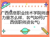 广西信息职业技术学院师资力量怎么样，名气如何(广西信职师资名气)
