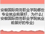 安徽国际商务职业学院哪些专业就业前景好，为什么(安徽国际商务职业学院就业前景好的专业)
