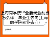 上海商学院毕业后就业前景怎么样，毕业生去向(上海商学院就业去向)