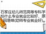 石家庄幼儿师范高等专科学校什么专业就业比较好，原因是啥(幼师专业就业好)