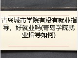 青岛城市学院有没有就业指导，好就业吗(青岛学院就业指导如何)