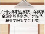 广州东华职业学院一年奖学金最多能拿多少(广州东华职业学院奖学金上限)