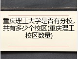 重庆理工大学是否有分校，共有多少个校区(重庆理工校区数量)