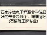 石家庄信息工程职业学院最好的专业是哪个，详细阐述(石信院王牌专业)