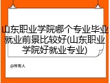 山东职业学院哪个专业毕业就业前景比较好(山东职业学院好就业专业)