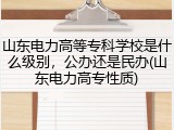 山东电力高等专科学校是什么级别，公办还是民办(山东电力高专性质)