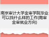 南京审计大学金审学院毕业可以找什么样的工作(南审金审就业方向)