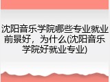 沈阳音乐学院哪些专业就业前景好，为什么(沈阳音乐学院好就业专业)