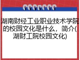 湖南财经工业职业技术学院的校园文化是什么，简介(湖财工院校园文化)