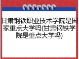 甘肃钢铁职业技术学院是国家重点大学吗(甘肃钢铁学院是重点大学吗)