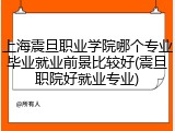 上海震旦职业学院哪个专业毕业就业前景比较好(震旦职院好就业专业)