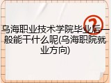 乌海职业技术学院毕业后一般能干什么呢(乌海职院就业方向)