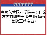 海南艺术职业学院主攻什么方向有哪些王牌专业(海南艺院王牌专业)