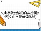 文山学院就读的真实感觉如何(文山学院就读体验)