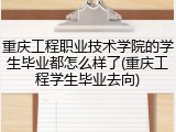 重庆工程职业技术学院的学生毕业都怎么样了(重庆工程学生毕业去向)