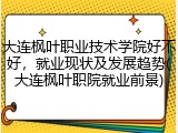 大连枫叶职业技术学院好不好，就业现状及发展趋势(大连枫叶职院就业前景)