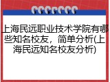 上海民远职业技术学院有哪些知名校友，简单分析(上海民远知名校友分析)