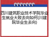 四川建筑职业技术学院毕业生就业大致去向如何(川建院毕业生去向)