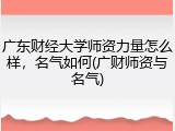 广东财经大学师资力量怎么样，名气如何(广财师资与名气)