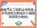 鹤壁汽车工程职业学院是一本吗录取分数线多少(鹤职院录取分数线)