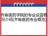 齐鲁医药学院的专业设置概况介绍(齐鲁医药专业概览)