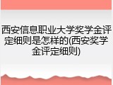 西安信息职业大学奖学金评定细则是怎样的(西安奖学金评定细则)
