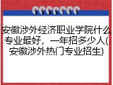 安徽涉外经济职业学院什么专业最好，一年招多少人(安徽涉外热门专业招生)