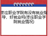 枣庄职业学院有没有就业指导，好就业吗(枣庄职业学院就业情况)