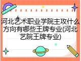 河北艺术职业学院主攻什么方向有哪些王牌专业(河北艺院王牌专业)
