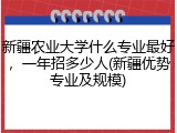 新疆农业大学什么专业最好，一年招多少人(新疆优势专业及规模)