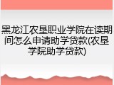 黑龙江农垦职业学院在读期间怎么申请助学贷款(农垦学院助学贷款)